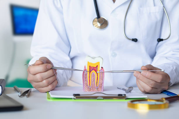 Best Emergency Dentist for Knocked-Out Tooth in Gordonsville, VA